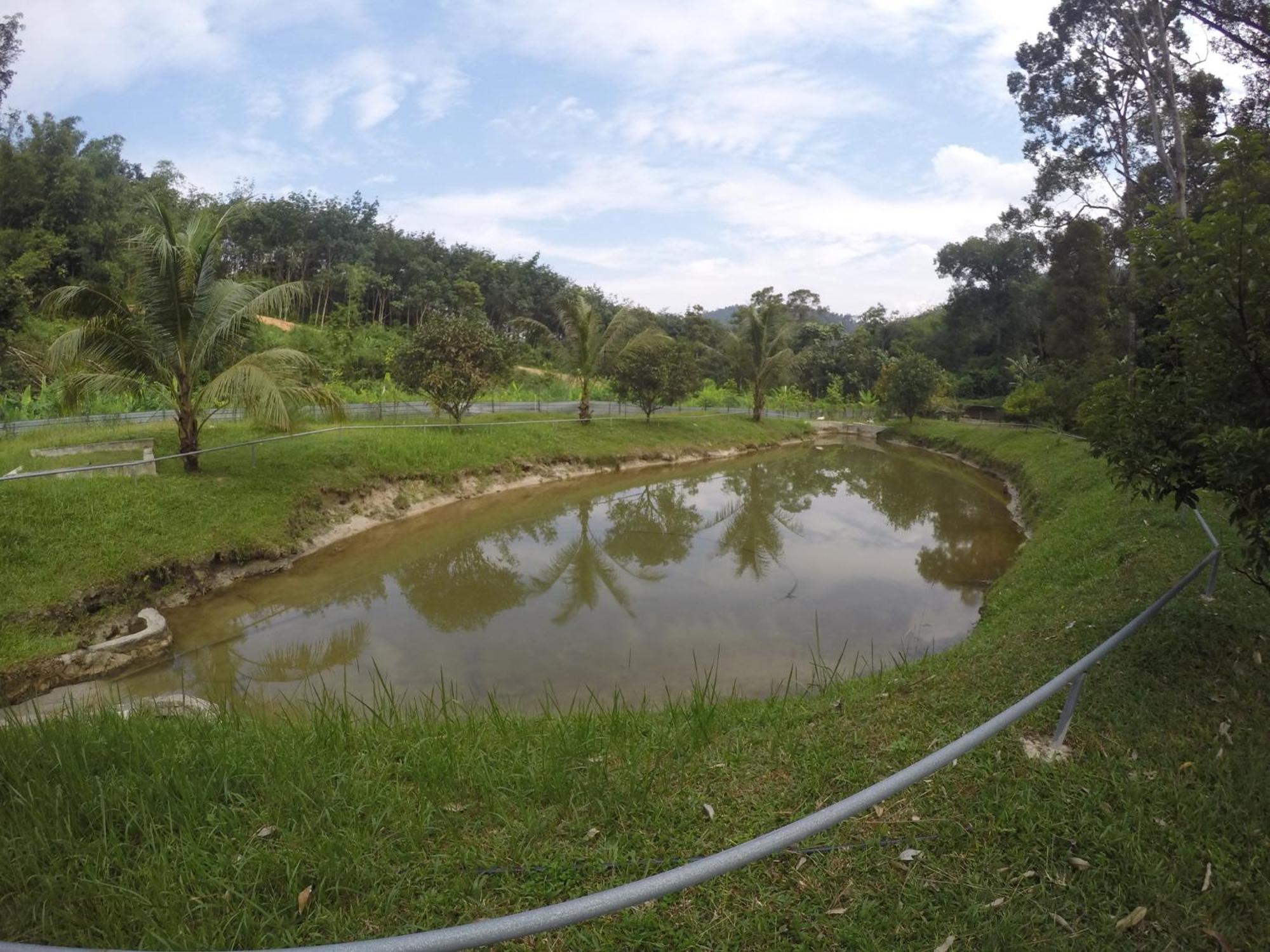Santai De Lui Resorts Kampong Masjid  Buitenkant foto